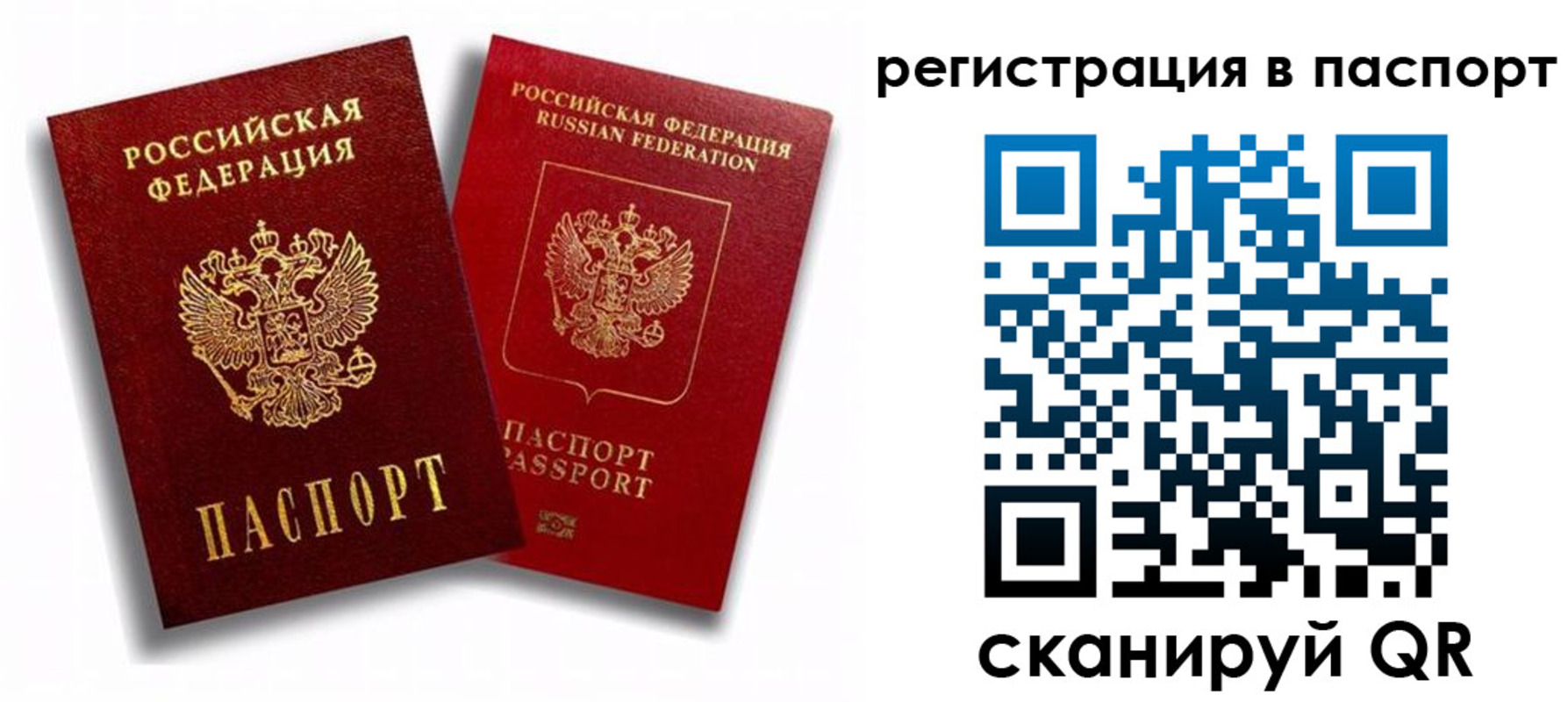 прописка 2025 в Зеленогорске